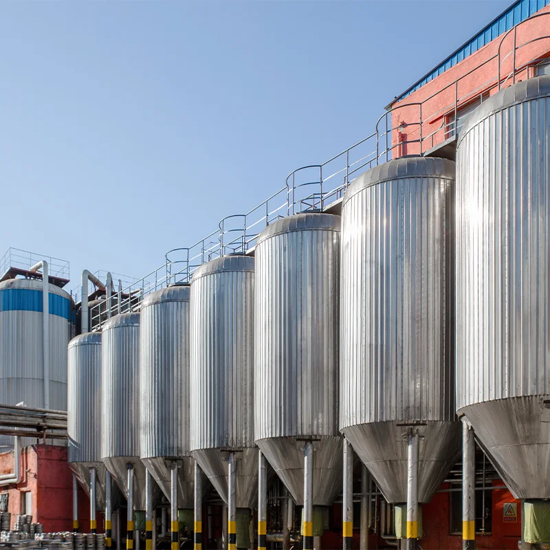 Beer Fermentation and Maturation: What Importers Should Ask a Brewery guide